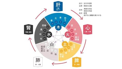 陰と陽|「陰陽五行」の意味や「陰陽説」と「五行説」をわか。